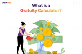 What is a Gratuity Calculator?